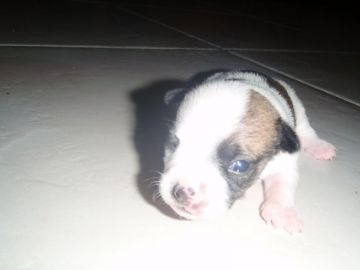 Baby Junior opens his eyes :)