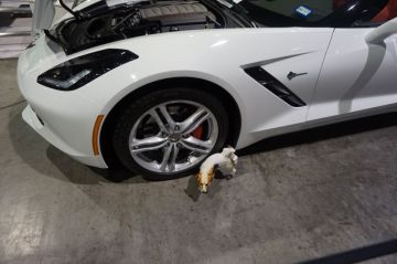 Galveston Chevy Expo 2016_4