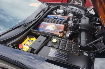 Space City Corvette's & Crawfish 2014_5
