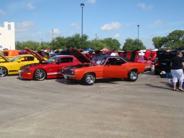Spring Show 2012