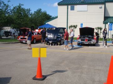 Spring Show 2012