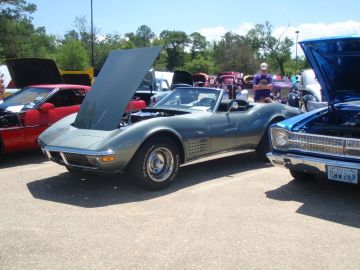 Spring Show 2012
