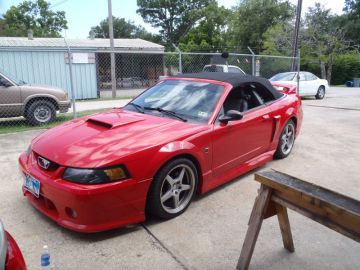 2004 Mustang