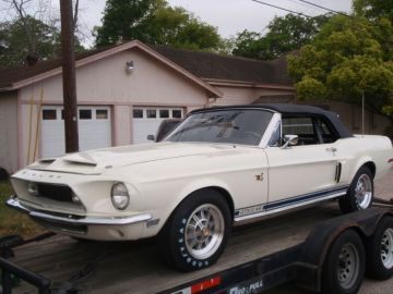 Shelby GT 500