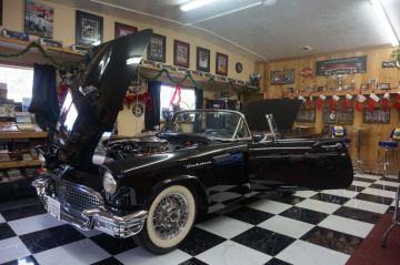 57 T-Bird Blk/Turquoise