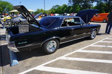 5 Stars 1965 GTO