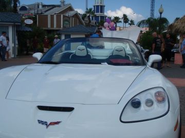 5 Star's Gator Grand Sport