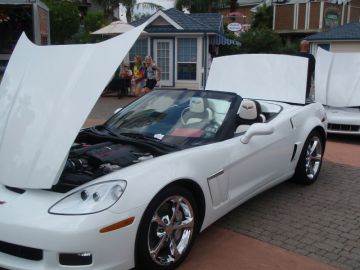 5 Star's Gator Grand Sport