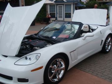5 Star's Gator Grand Sport