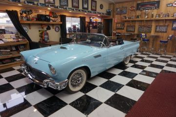 Baby Blue T-Bird_1