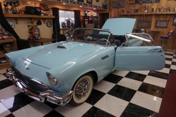 Baby Blue T-Bird_2