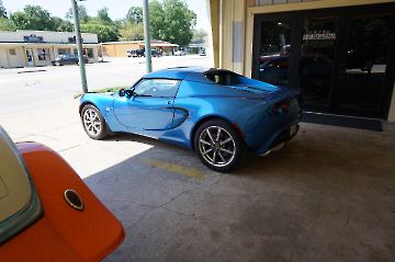 Electric Blue Lotus