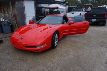 Red Pleated Vette