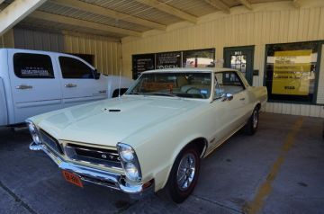 Royal Bobcat GTO - Seat Covers