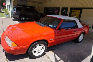 Susan's Mustang _3