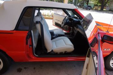 Susan's Mustang