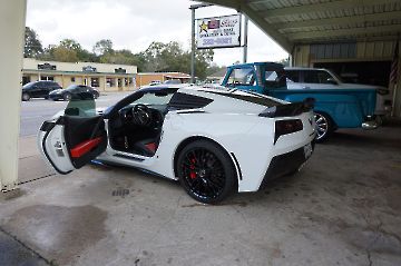 White Stingray