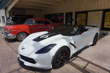 White Stingray Custom