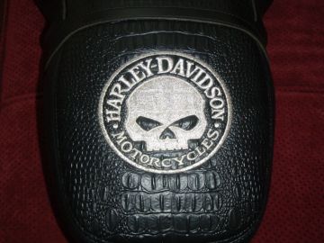 Harley Skull's